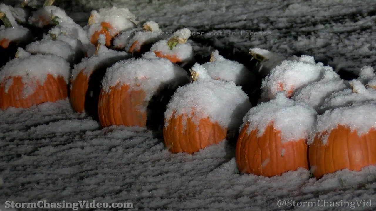 First Heavy Snow Fall - Rice Lake, WI - 10/14/2022