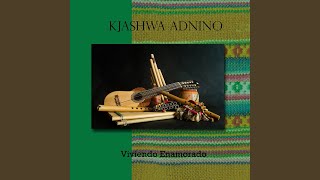 Miniatura de vídeo de "Kjashwa Andino - Tu partir"