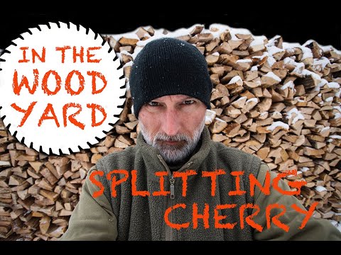 #36 Firewood Splitting - A big pile of cherry wood