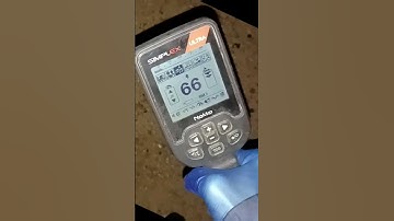 Nokta Simplex ULTRA Best in Class