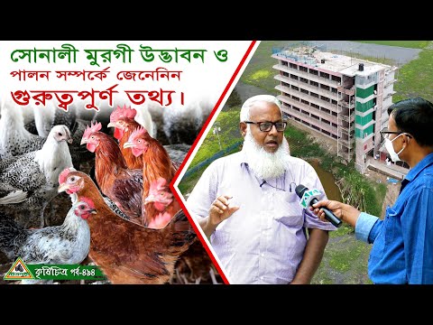 ভিডিও: Minised মুরগী এবং ফিললেট মাংসবলস: ফটো এবং ভিডিও সহ ধাপে ধাপে রেসিপি