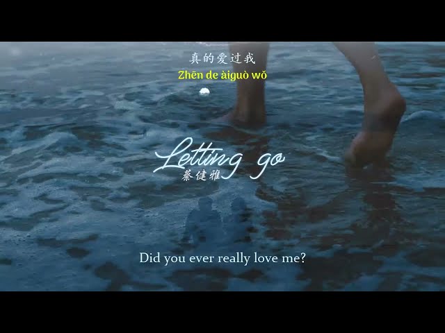 [ENGSUB/PINYIN] Letting go - 蔡健雅 (Tanya Chua) class=