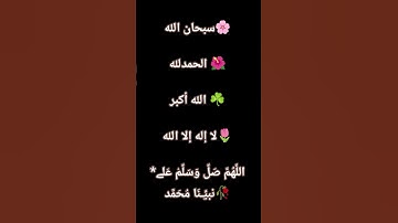 أكتب شيء تؤجر عليه🤍🌹 #القارئ #quran #المصحف #اكسبلور #القرآن_الكريم #الرحمن #دويتو #راحة_نفسية