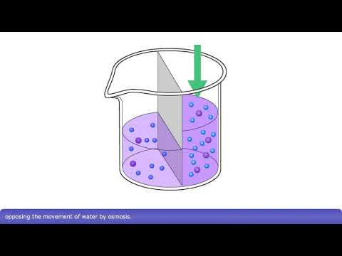 Video: Waarom bewegen watermoleculen van lage naar hoge concentratie?