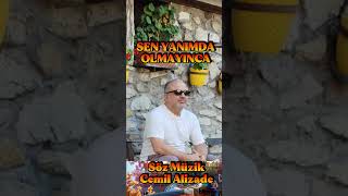 Sen Yanimda Olmayinca Resimi