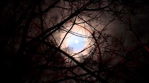 Scary Moon Night with Twisted Tree Silhouettes – Time-Lapse | Free Stock Footage