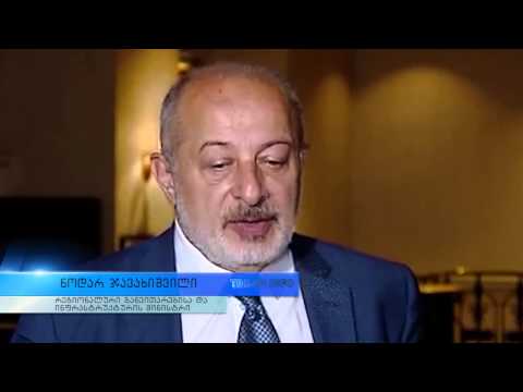 სტიქიასთან დაკავშირებით უცხოელმა ექსპერტებმა რეკომენდაციები შეიმუშავეს