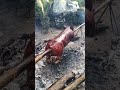 POV: FIESTA IN THE PHILIPPINES 🐷 #food #lechon #cooking #fiesta #lifestyle