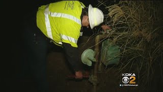 Gas Service Disrupted For Hundreds Of Rostraver Homeowners On Thanksgiving Eve