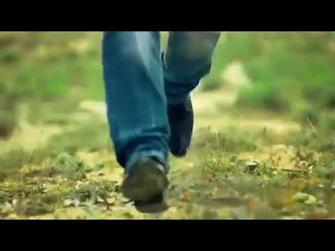شهزاد عدیل ما با توییم      