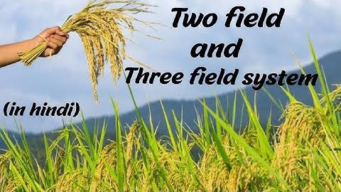 Two field and three field system (hindi)