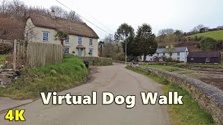TV for Dogs ~ Walk Your Dog TV - Virtual Dog Walking Around Beautiful Coombe in Cornwall UK 4K