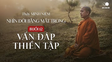 Thầy Minh Niệm | Buổi 12: Vấn đáp Thiền tập | Chuỗi: Nhìn đời bằng mắt trong | 04.08.2024