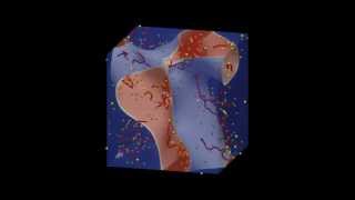 Bicomponent fluid with screened polyelectrolytes