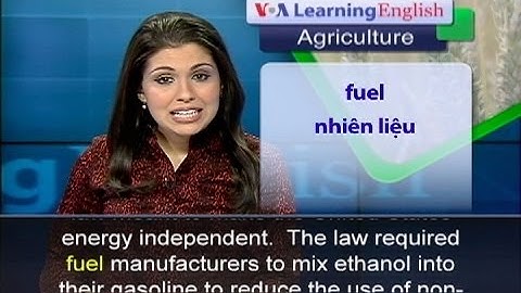 Phát âm chuẩn cùng VOA - Anh ngữ đặc biệt: Farmers Concerned Over Ethanol Changes (VOA-Ag Rep)