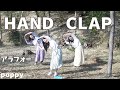 2週間で10キロやせるダンス、アラフォーが踊るとこうなる【HAND CLAP】