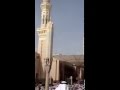 فديتك فاقد حنان فديتك فاقد حنان