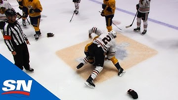 Fight Breaks Out After Predators