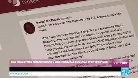 Whaller : une plateforme de management collaboratif efficace (France 24 / Sur le net / 13 11 2014)