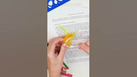 Highlighter VS Lemon/ expection VS Reality/ testing video