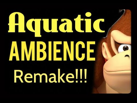 Donkey Kong Country Aquatic Ambience Remake - YouTube