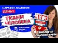 ТКАНИ ЧЕЛОВЕКА | МАРАФОН ПО АНАТОМИИ. ДЕНЬ 1