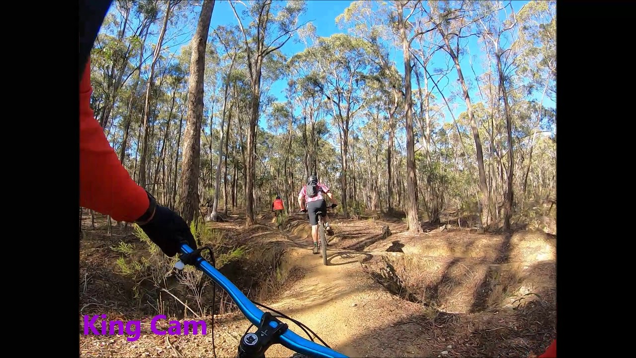 top gear cycle price