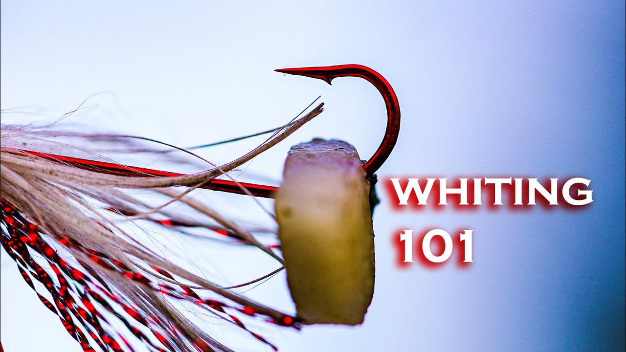 How to Catch Whiting Like a Boss Part 2 