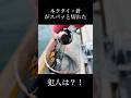 鯛ラバでまさかの・・・ #鯛ラバ #しまなみ海道 #shorts
