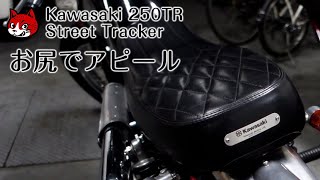 250TR STREET TRACKER 【お尻で漢をアピール】