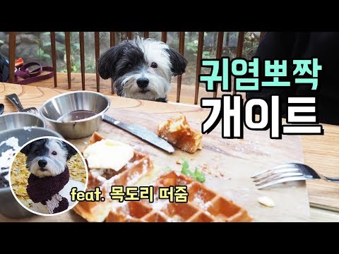 강아지랑 카페갔는데 넘나 귀염뽀작/ 강아지 <strong>목도리</strong> <strong>만들기</strong>