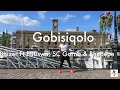 GOBISIQOLO - Bhizer ft Busiswa, SC Gorna, Bhepepe | taffsthastarh choreography