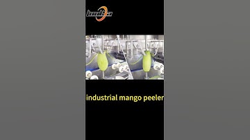 Efficient Industrial Mango Peeler for Fruit Processing Plant