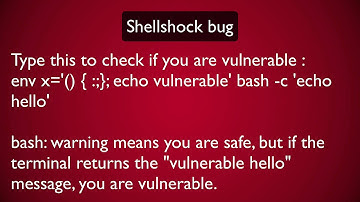 Shellshock bug - Worst than Heartbleed, what you need to know