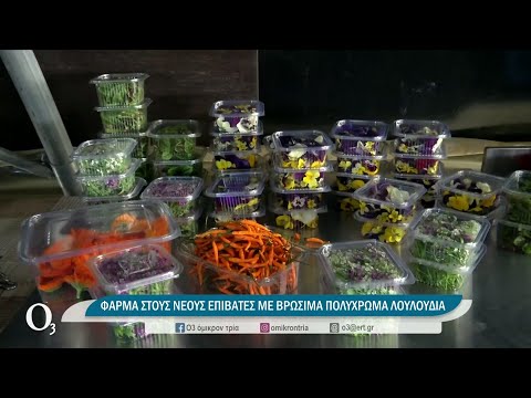 Βίντεο: Είναι βρώσιμα τα άνθη wisteria;