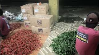 Prices of chili and vegetables on November 26, 2025, in Magelang Regency, Central Java #millennia...