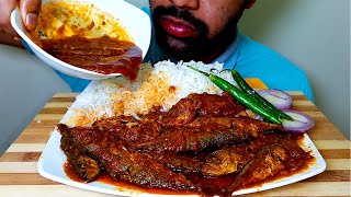SPICY SMALL FISH CURRY || RICE || CHILLI EATING SHOW|#HungryPiran