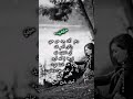 أنت لست حبي فقط بل أنت روحي وحبيبي الأبدي الذي لديه الحق في معرفة كل ما أفعله