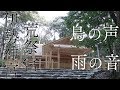 【雨と鳥のさえずり】伊勢神宮の森・聴くだけでチャクラが開く最強スピリチュアル自然音3時間【超パワースポット荒祭宮】Birds Songs and Rain In Ise-Jingu 3hours