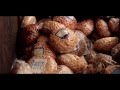 Just Eat It A Food Waste Story Trailer 