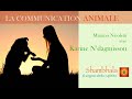 La communication animale la comunicazione animale  entretien avec karine ndgamissou