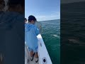 Family Fun Time Striped Bass Fishing off Cape Cod #fishing #capecod