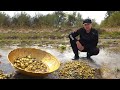 Antique Golden Bowl; Incredible Finds, How to Find Treasures of Gold? (Shocking Events)
