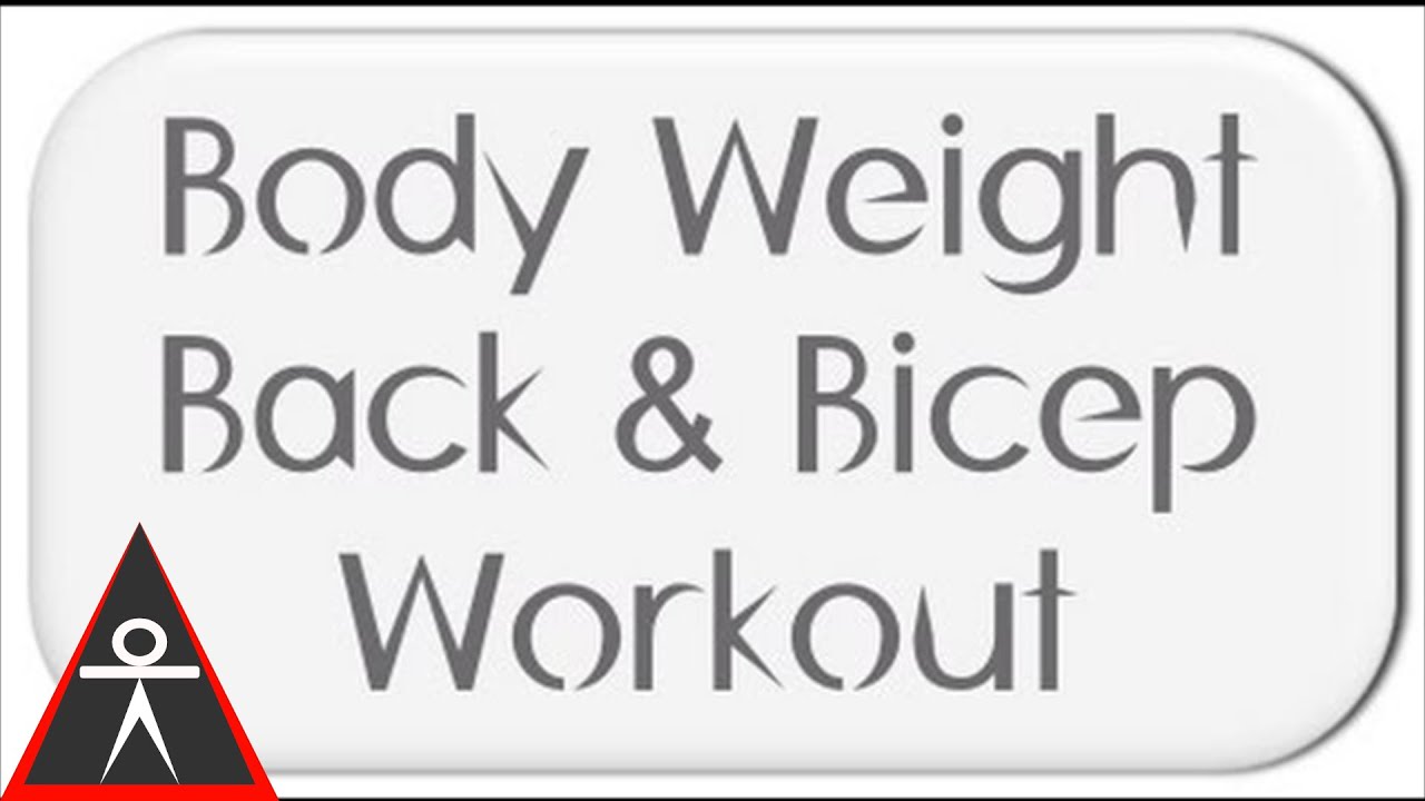 calisthenics workout program for beginners Playground Workout For Back, Biceps, and Grip