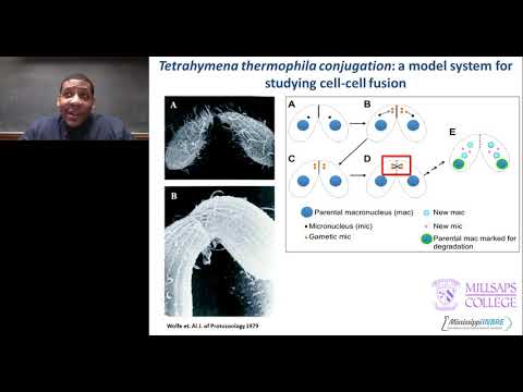 Video: Tetrahymena Basala Kroppar