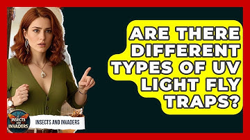 Are There Different Types Of UV Light Fly Traps? - Insects and Invaders