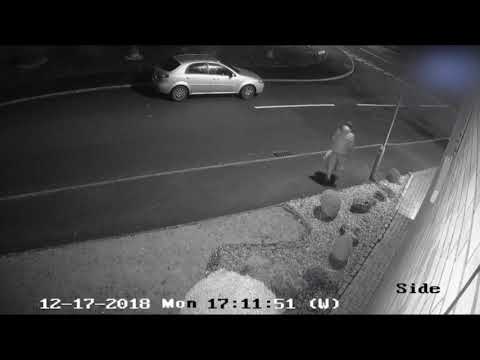 Cruel moment man dumps his dog at the roadside before driving off