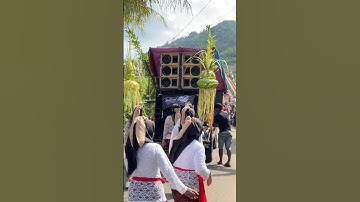 Sound system bayu siwi audio 2 sub planar 6 line array karnaval parakan