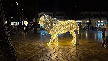 Dove andare di sera a Milano Marittima?