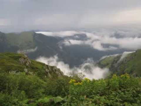 Visit Borjomi-Kharagauli National Park